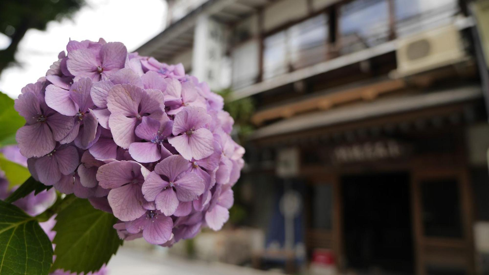 Shibu Onsen Koishiya Ryokan Yamanouchi (Nagano) Exterior foto